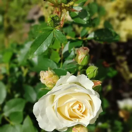 Li's Guestrooms Accommodatie bij particulieren